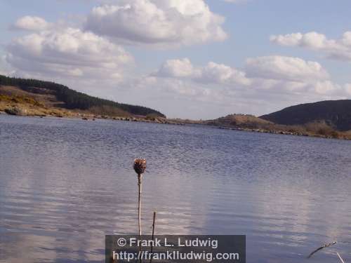 Lough Talt, County Sligo